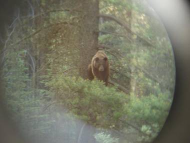 HI Castle Mountain Hostel