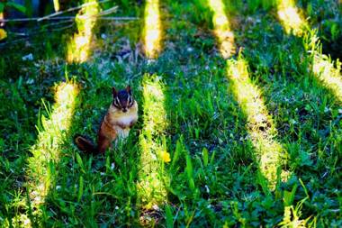 Seascape Coastal Retreat - ADULTS ONLY - HOT TUBS