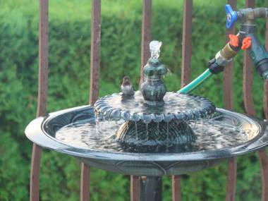 Hummers Haven Bed and Breakfast