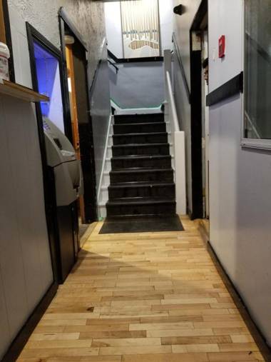 Hotel Dinosaur & Newcastle Bar