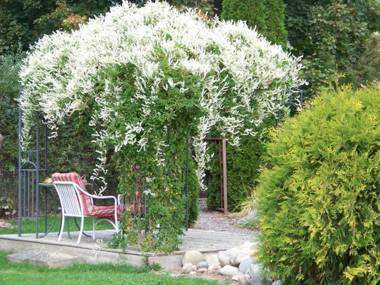 Bavarian Orchard Motel