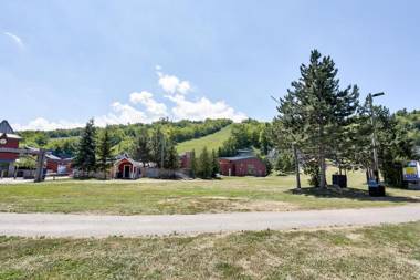 Ski In/Out Steps to Village