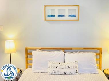 Cozy Studio Loft with 2 Baths Next to Slopes