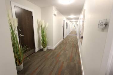 Stardust Motel - Bedford