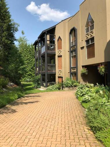 The Ironwood on Blueberry Hill