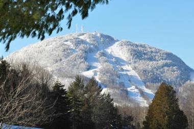 Condos Hotel Lion D'Or