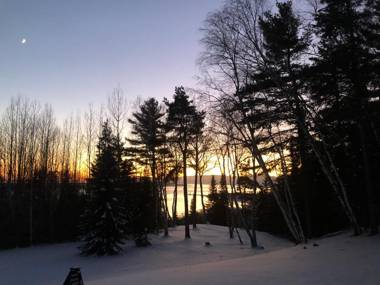 Chalet Sous Les Pins