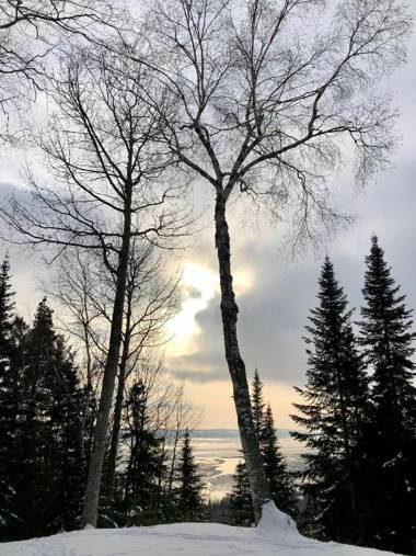 Chalet Sous Les Pins