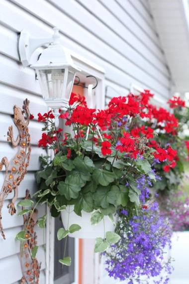 Hidden Acres Cottages