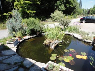 Dwight Riverside Inn