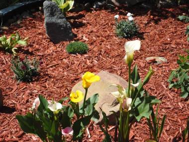 Dwight Riverside Inn