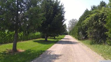 Shamrock Beach Cottage