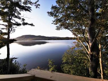 Knotty Pine Ocean Front Cabin - Adults Only No Pet