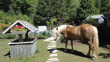 Auberge le Cheval Bleu