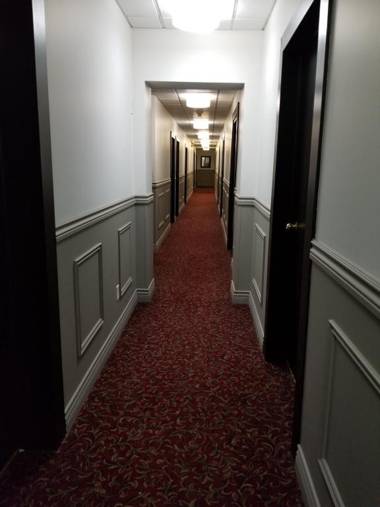 1-Bedroom Cozy Suite #26 by Amazing Property Rentals