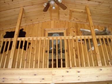 Auberge Papillon Lune