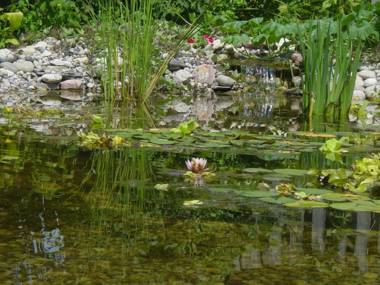 Bondy House Bed & Breakfast