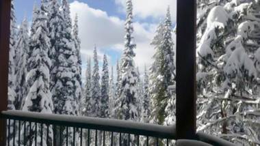 Vacation Homes by The Bulldog- Berker's Suite A