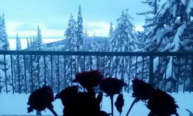 Vacation Homes by The Bulldog- Berker's Suite A