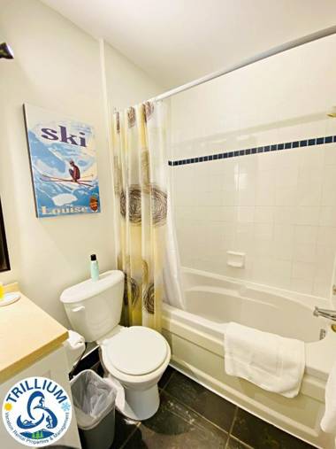 Blue Mountain Suites