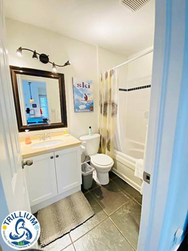 Blue Mountain Suites