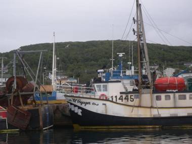 Wildberry Country Lodge B&B