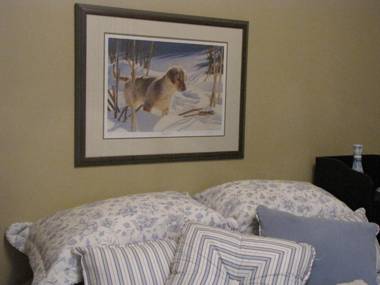 Willow Pond Satellite B&B