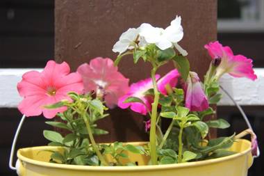 Serendib Bed and Breakfast