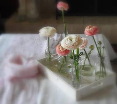 The Empty Nest B & B