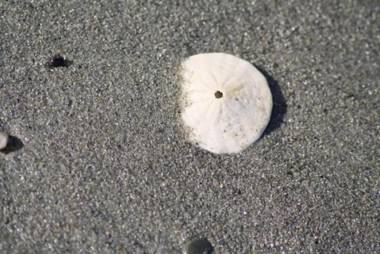 Lonely Rock Seaside Bungalows