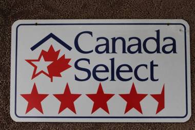 The Fiddle and the Sea Bed and Breakfast