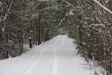 1 and Only Riverside Accommodations