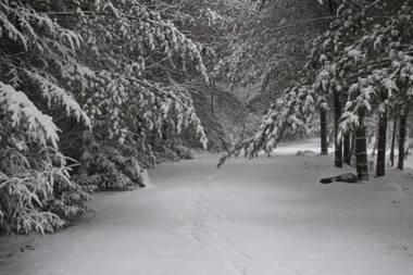 1 and Only Riverside Accommodations