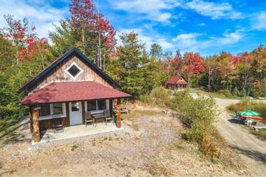 paradis sauvage geronimo