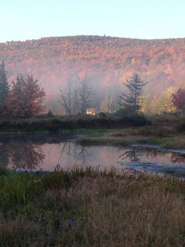 paradis sauvage geronimo