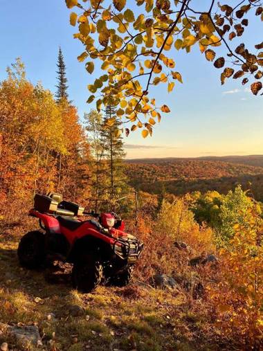 Madawaska Lodge-Glamping Cabins