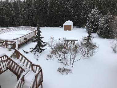 Molly's Retreat B and B