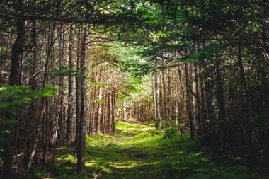 Abbie's Garden Bed & Breakfast