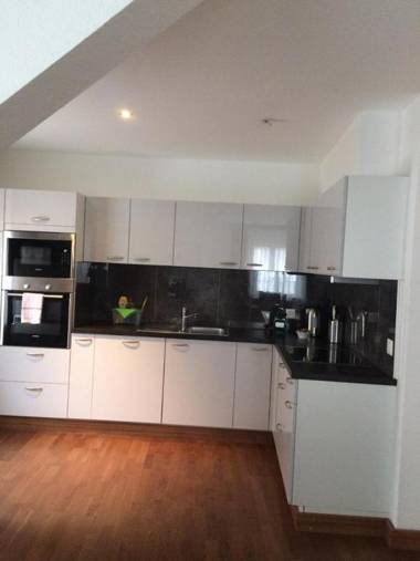 Junior Suite Apartment by Livingdowntown