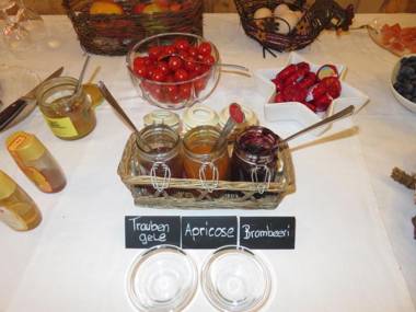 Haflingerhof Frühboden