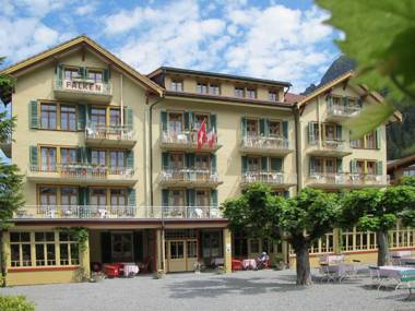 Historic Hotel Falken