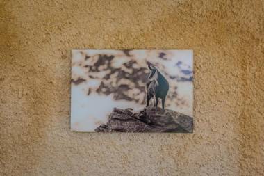 Hotel Alpenblick