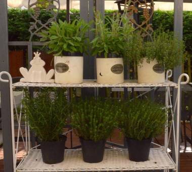 Hotel Restaurant Kutchi