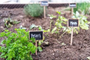 Hotel La Tgoma - Aktiv erholen und geniessen