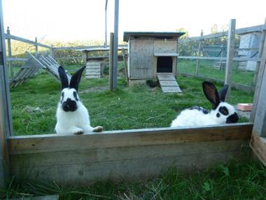 Hotel Restaurant Sunnmatt