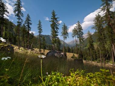 Ferienwohnung Curuna
