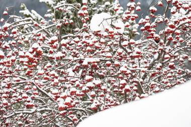 Chasa Serras - Döpper