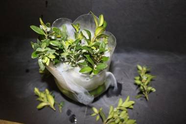 Landgasthof Sommerfeld