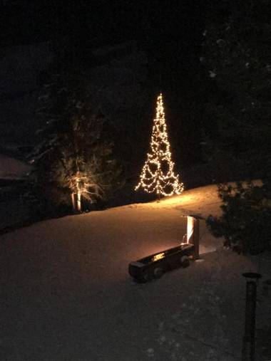 Ferienhaus Chalet Riedji