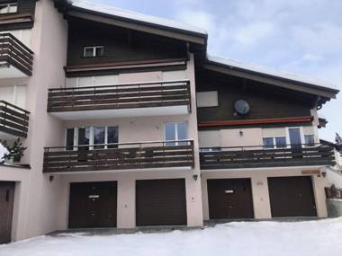 Lavinas 2 - Celerina